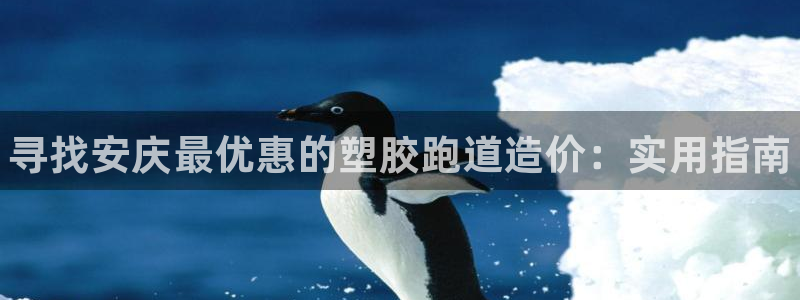 谈球吧体育app下载中心官方：寻找安庆最优惠的塑胶跑道造价：