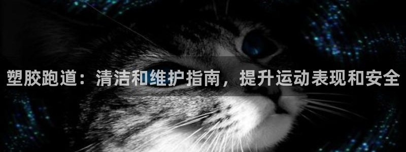 谈球吧体育app下载官网苹果版：塑胶跑道：清洁和维护