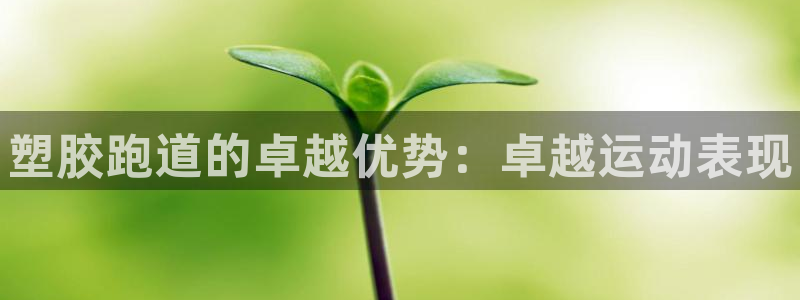 谈球吧网页登陆：塑胶跑道的卓越优势：卓越运动表现