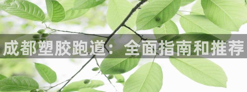 谈球吧app体育下载：成都塑胶跑道：全面指南和推荐