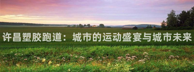 谈球吧app赛事分析报告