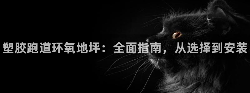 谈球吧是正规平台吗安全吗：塑胶跑道环氧地坪：全面指南