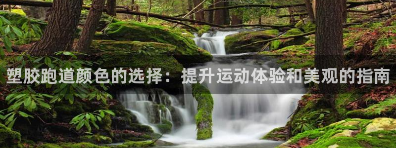 谈球吧打不开了