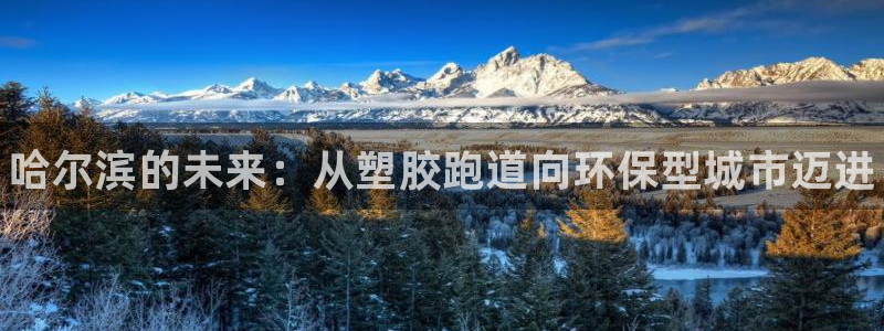 谈球吧体育综合