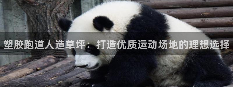 谈球吧体育app下载官网手机版：塑胶跑道人造草坪：打造优质运