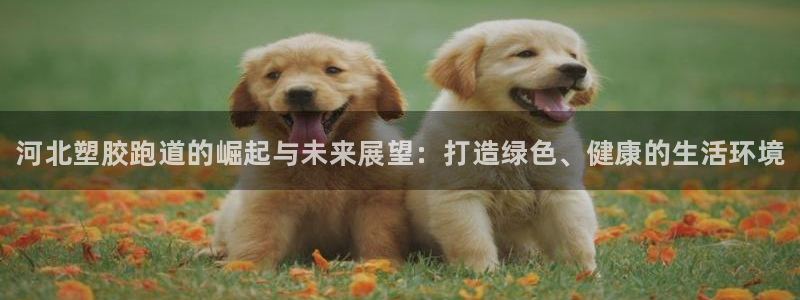 谈球吧娱乐app下载官网苹果：河北塑胶跑道的崛起与未来展望：打造绿色、健康的生活环境