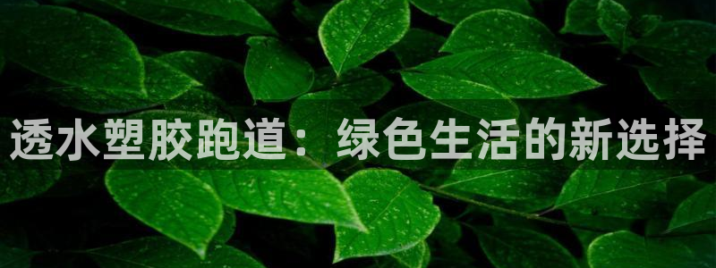 谈球吧app体育：透水塑胶跑道：绿色生活的新选择