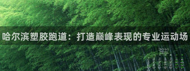 谈球吧官网入口：哈尔滨塑胶跑道：打造巅峰表现的专业运