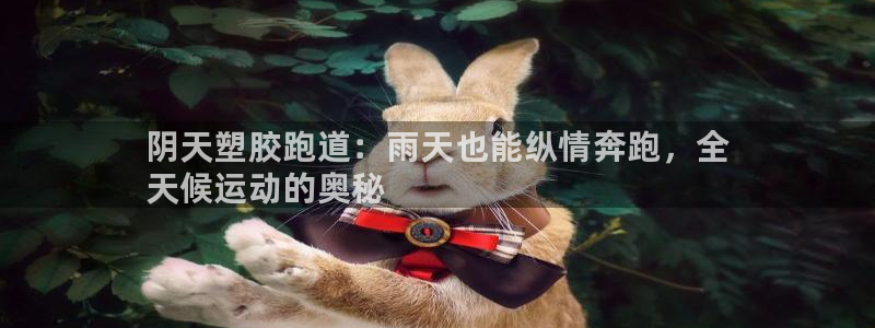 谈球吧的聊天软件是什么：阴天塑胶跑道：雨天也能纵情奔跑，全
