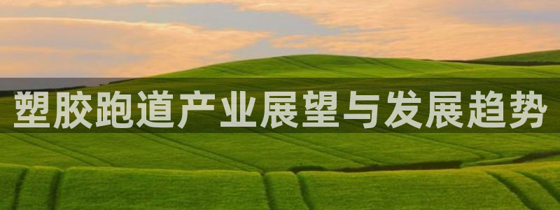 谈球吧的聊天软件叫什么：塑胶跑道产业展望与发展趋势